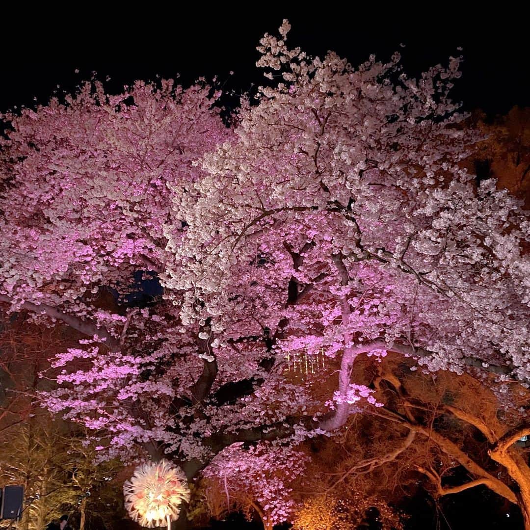 Yuupyonさんのインスタグラム写真 - (YuupyonInstagram)「🌸🫧🏮🩷 ⁡ ⁡ NAKED桜の新宿御苑🌸2023 @naked_inc  ⁡ ネイキッドの東京の夜のお花見の特別事前内覧会に 招待していただきました₍ᐢ.ˬ.ᐡ₎ ⁡ 色々な種類の桜があって更に プロジェクションマッピングやフード、ドリンク １日じゃ足りないくらいの沢山のコンテンツがあったよ！ 期間中にもう1度は絶対に行きたい😭😭 ⁡ ⁡ ⁡ 場所：新宿御苑（入場は新宿門） 期間：2023年3月31日（金）～4月23日（日） 時間：19:00～21:00（閉門 22:00）  ※18:00閉園後に新宿門を再開門 詳細：https://event.naked.works/shinjukugyoen/ ⁡ ⁡ #ネイキッドインク#nakedinc#新宿御苑#桜#花見スポット#東京花見#東京観光#桜フード#春#春服#sakura#pink#tokyo#🌸」4月2日 19時19分 - pyon_1211