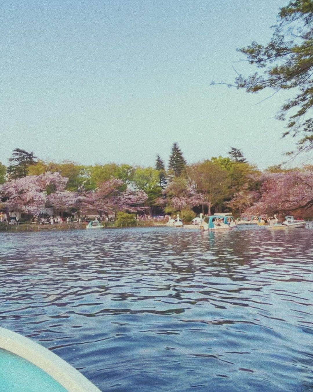 島貫勇士さんのインスタグラム写真 - (島貫勇士Instagram)「きみとの1ページ ・ ・ ・」4月2日 19時31分 - yujimelo_sads