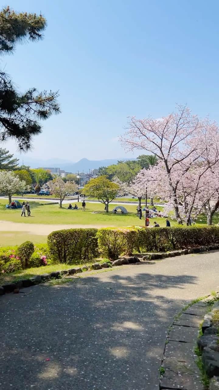 ToriChyanChannelのインスタグラム：「福岡の春  Самое волшебное время года в Японии 🌸  #福岡 #japan #fukuoka」