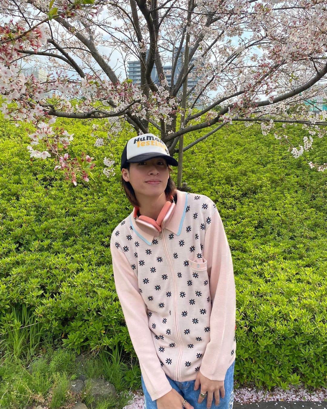 トゥイのインスタグラム：「桜は本当うつくしい。」