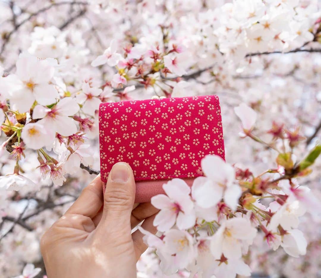 古都印伝さんのインスタグラム写真 - (古都印伝Instagram)「桜満開🌸 古都印伝の「小桜」シリーズ。  #古都印伝 #kotoinden」4月2日 19時28分 - kotoinden