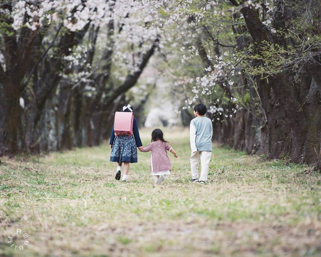 rabbiiiiiさんのインスタグラム写真 - (rabbiiiiiInstagram)「🌸👧🏻👶🏻👦🏻🌸  #生存確認 #igersjp #🌸 #団子三兄弟」4月2日 19時40分 - rabbiiiii