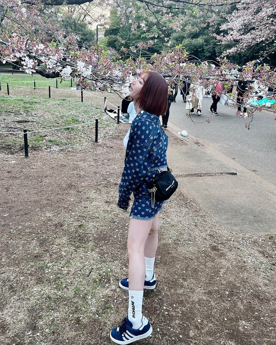 月城まゆのインスタグラム：「🌸🌸🌸  #sakura #gal #japanesegirl #spring #yoyogipark #bape #abathingape #お花見コーデ #桜 #setup」