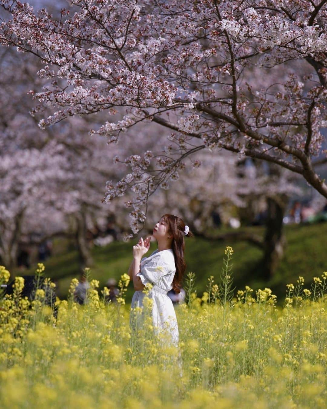 森脇芹渚のインスタグラム：「春っぽい写真を撮影しに行ってきました🌸 中々服を着てる写真撮らないから新鮮…w」