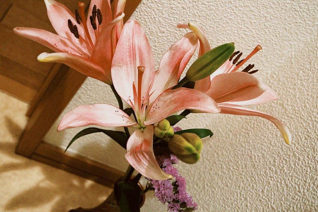 MARIA-Eさんのインスタグラム写真 - (MARIA-EInstagram)「⁡ 朝から家中の花たちに話しかけるのが 私の日課です。 ⁡ 愛おしすぎて蕾が開くのを 1日中ジッと見守りたくなっちゃうね。」4月2日 11時05分 - maria.eeee