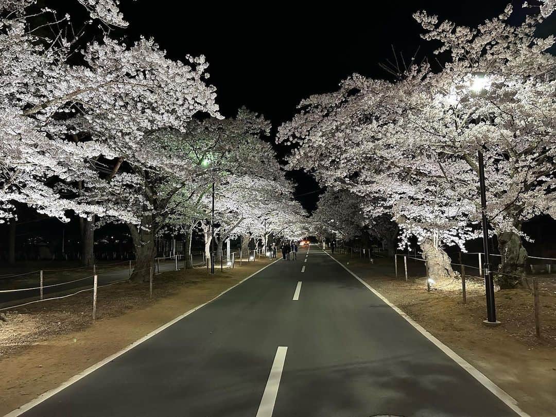 津田大介のインスタグラム：「昨日は夕方からいわきでのミーティング後にちょうど夜間ライトアップが始まった富岡町夜ノ森の桜並木へ。この4/1から一部帰還困難区域が解除され夜ノ森地区も本格的に再スタートとなる節目。除染のため多くの桜の木が短く切られているのだけど、それでもたくさん花を咲かせていたのが印象に残った。」