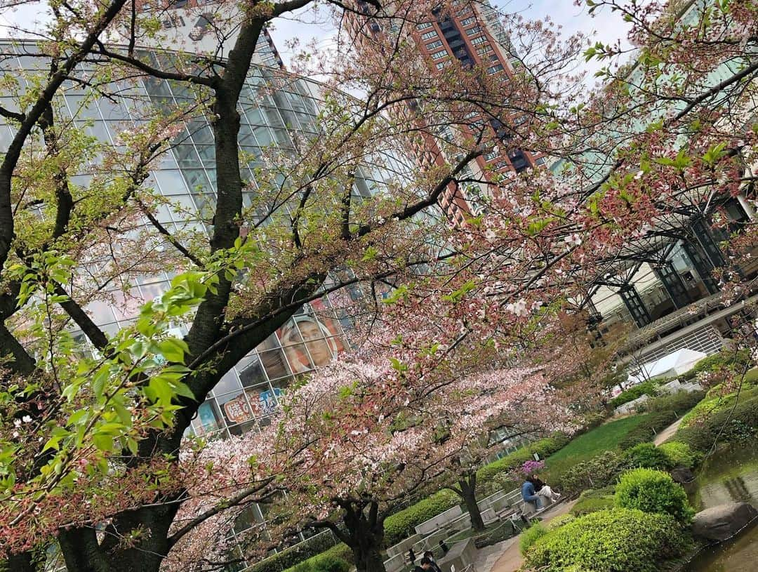 テレ朝newsさんのインスタグラム写真 - (テレ朝newsInstagram)「サクラ🌸もそろそろフィナーレ。きょうの関東は雲が広がりやすく午後はにわか雨の可能性も。お花見🌸には念の為、折りたたみ傘があると安心です。  #テレ朝 #テレ朝news #ニュース #六本木  #roppongi #tvasahi #news #japan #follow #フォロー #写真 #テレビ局 #動画ニュース #天気 #天気予報 #いまそら」4月2日 11時21分 - tv_asahi_news