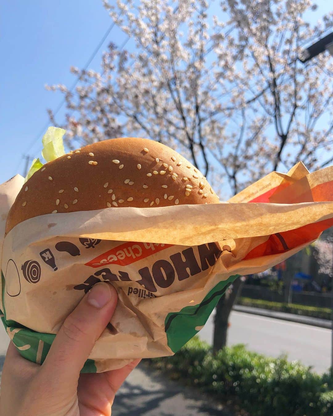 立花このみのインスタグラム：「. 🍔🌸🤎🤍 . 今年もたくさん桜の下で遊べたなあ‼︎ 子がいると屋外で過ごす時間の方が多いから、四季にたくさん触れられる☺️ . 桜への高い高い 長男の方はいつまでやらせてくれるかしら⁇ なんて考えると少し寂しくなったり🥲 いや、もうこれも高い高いではないんだけどさ。笑 . . . #桜 #さくら #🌸  #生後6ヶ月 #2歳10ヶ月 #兄弟 #兄弟ママ #2児のママ #2歳差育児 #子育てぐらむ  #2歳児男の子  #男の子ママ #令和2年ベビー  #令和2年5月生まれ  #令和4年ベビー #令和4年9月ベビー  #親バカ部男の子 #新米ママ #成長記録 #育児記録 #instagood #instalike #followme」