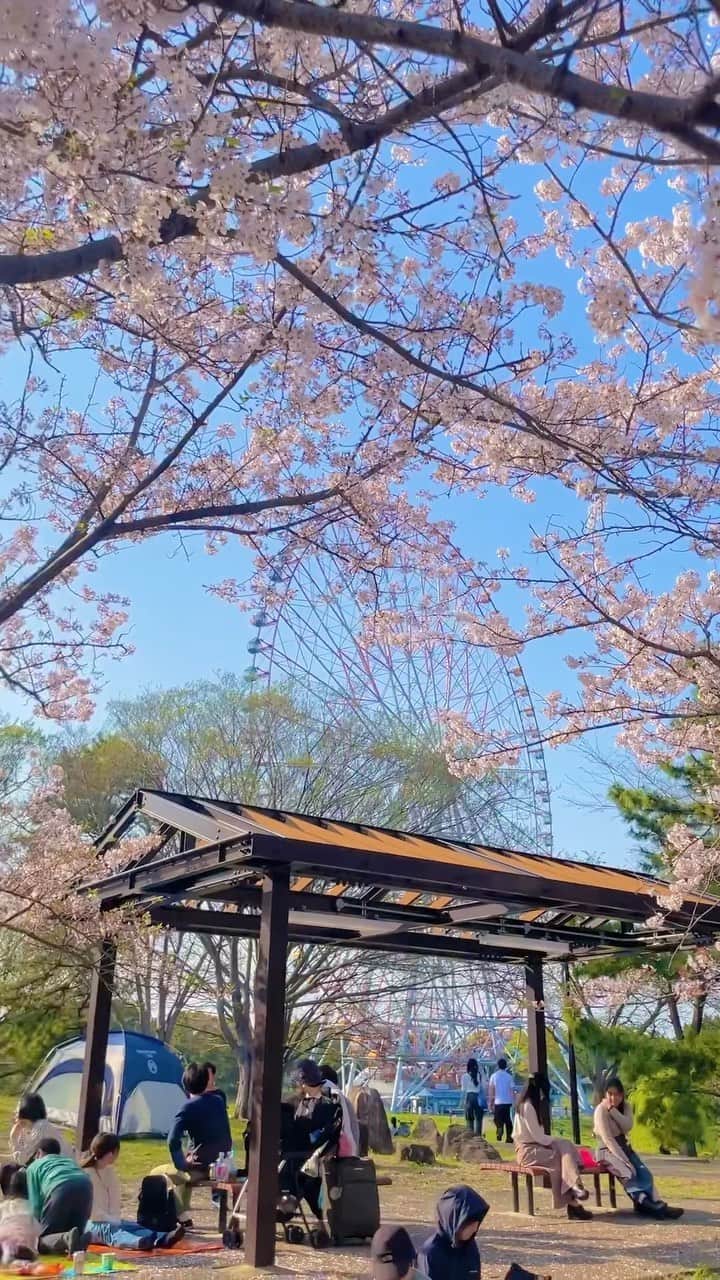 のインスタグラム：「ようやくお花見してきました🌸もう葉桜かな～と思いましたがとっても綺麗でした☺️✨✩  皆さんはもうお花見しましたか？(⑅•ᴗ•⑅)◜..°♡」