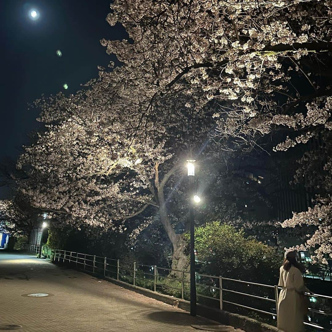 遠野愛さんのインスタグラム写真 - (遠野愛Instagram)「4月！ ことしは福岡に来て初めて花見ができました🌸 舞鶴公園には取材で3回プライベートで2回も！！ やっぱり好きだな♡きれいだな♡楽しいなぁ♡ 桜はもちろんだけどみんなが楽しんでる様子も幸せが溢れていて好き😌  1 上手く撮れた渾身の夜桜 2 ドウキナカタニと 3 良い写風だけどよく見ると顔酷い照 4 よく見ると黄昏てる人いる 5 取材現場にいた会社の先輩が撮ってくれた貴重な仕事中の写真🤳トオノを探してください」4月2日 11時26分 - ai.tono_fbs