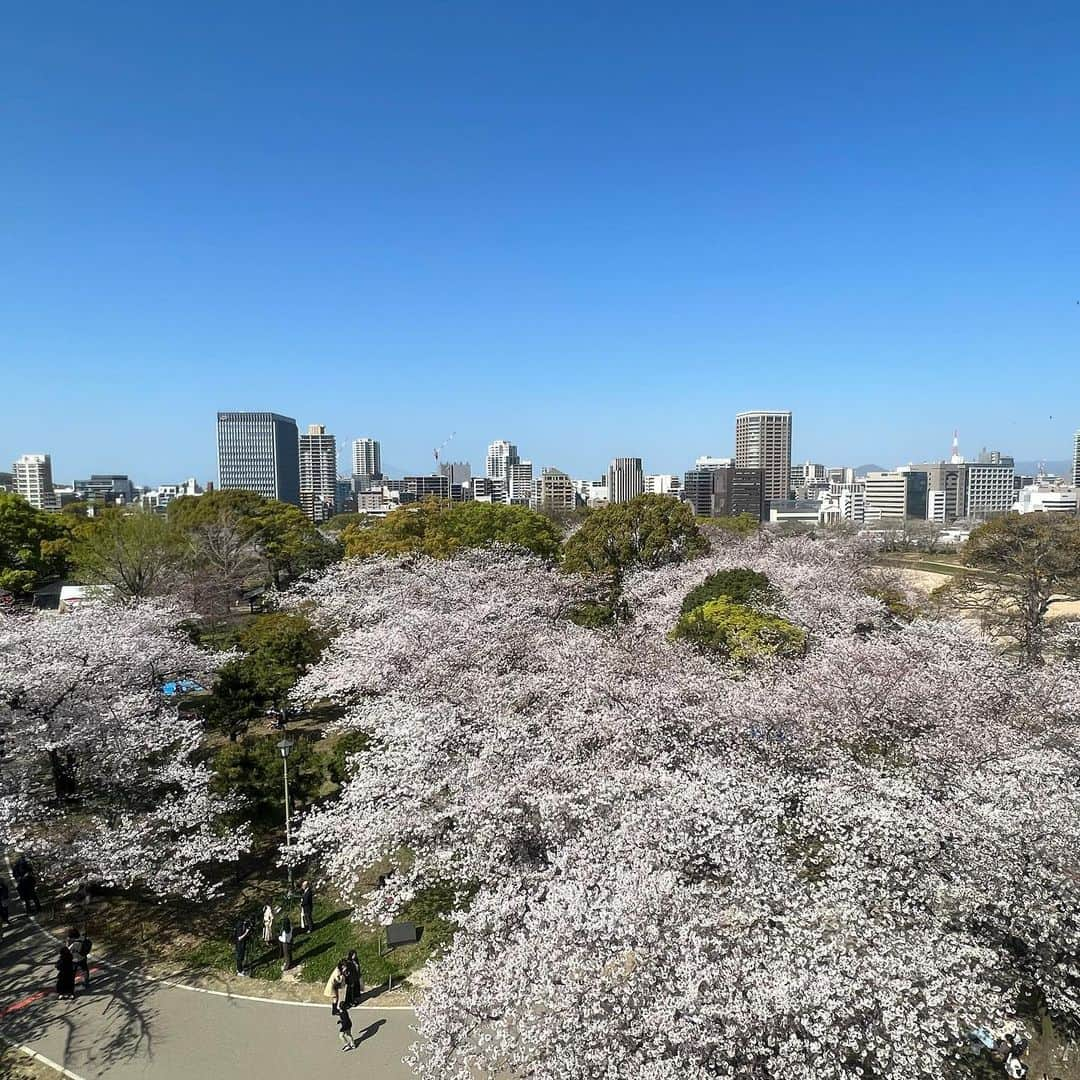 遠野愛さんのインスタグラム写真 - (遠野愛Instagram)「4月！ ことしは福岡に来て初めて花見ができました🌸 舞鶴公園には取材で3回プライベートで2回も！！ やっぱり好きだな♡きれいだな♡楽しいなぁ♡ 桜はもちろんだけどみんなが楽しんでる様子も幸せが溢れていて好き😌  1 上手く撮れた渾身の夜桜 2 ドウキナカタニと 3 良い写風だけどよく見ると顔酷い照 4 よく見ると黄昏てる人いる 5 取材現場にいた会社の先輩が撮ってくれた貴重な仕事中の写真🤳トオノを探してください」4月2日 11時26分 - ai.tono_fbs