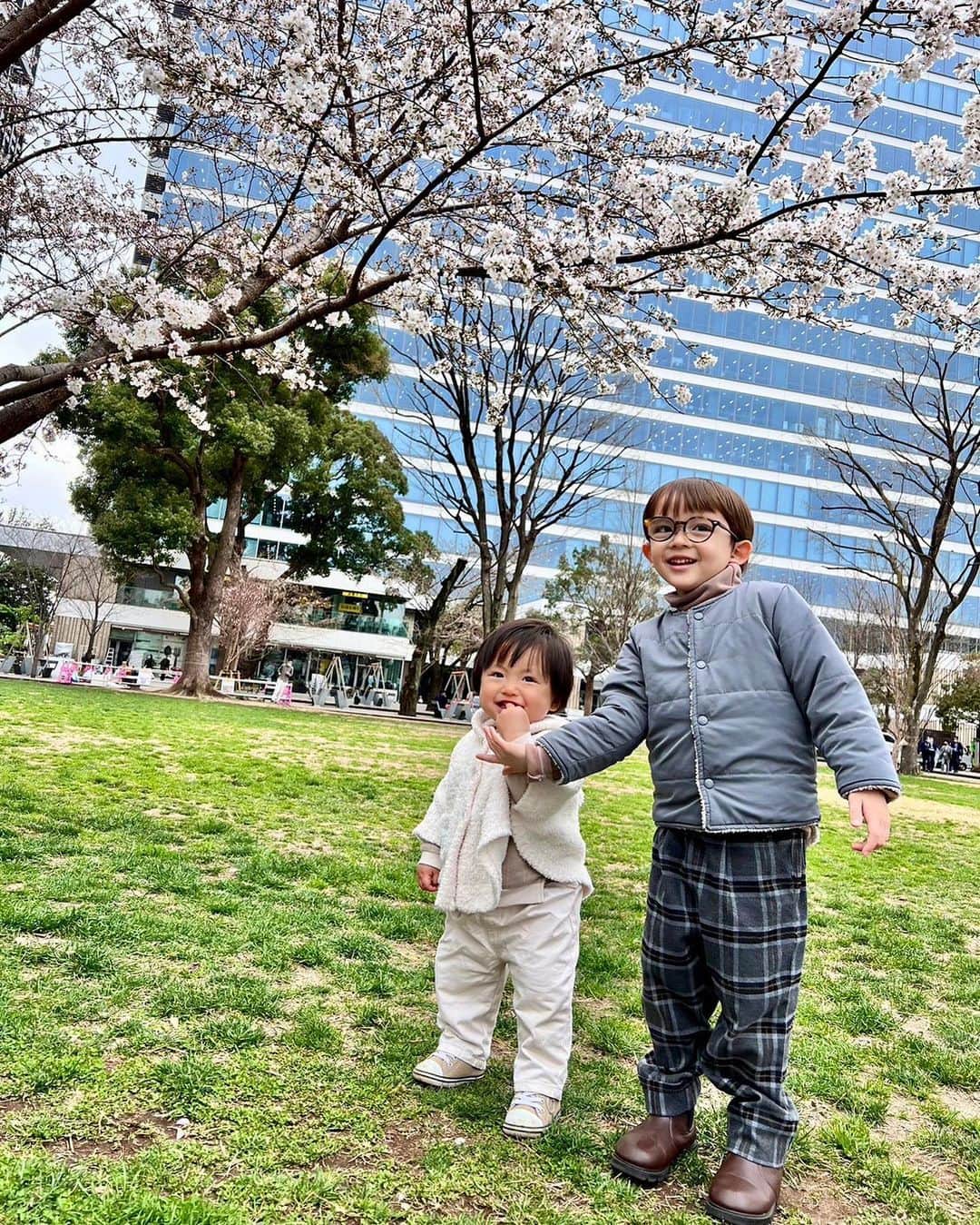 satomiのインスタグラム：「🌸🌸  ランチして公園で遊んだ日🫶🏻 @william.2019j   ハトをたくさん追いかけたよ🕊  桜が咲き始めのときで お花見してる人がちらほらいたり 卒業式後の学生さんがいたり 春を感じました👏🏻🥹  ウィリーがお兄さんしてくれて 可愛かった🤍🤍  手を繋ごうとしてくれたのに いつも無視でごめんね🤣  #1歳 #1歳3ヶ月 生後15ヶ月 #令和3年ベビー」