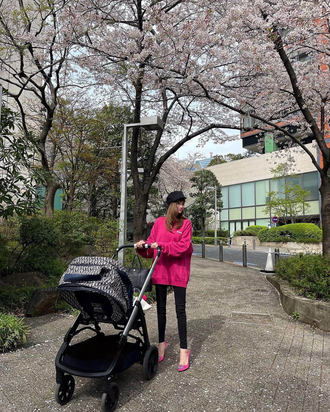 SEIRAのインスタグラム：「3月ほとんどを病院🏥で過ごしていたので、 まったく気付きませんでしたが、 桜が🌸*･いつの間にか咲いて葉桜に💦 ㅤㅤㅤㅤㅤㅤㅤㅤㅤㅤㅤㅤㅤ ︎︎」