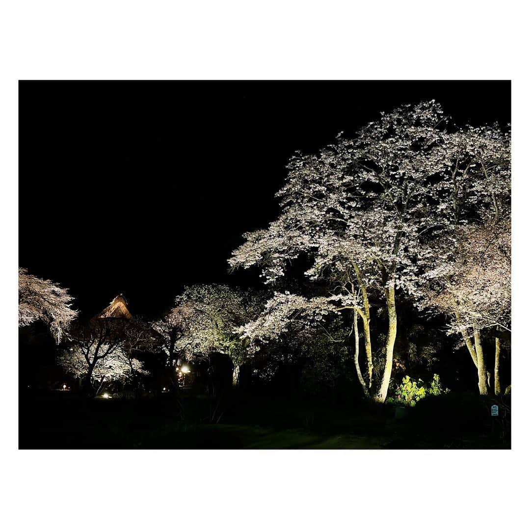 岡副麻希のグルメインスタ