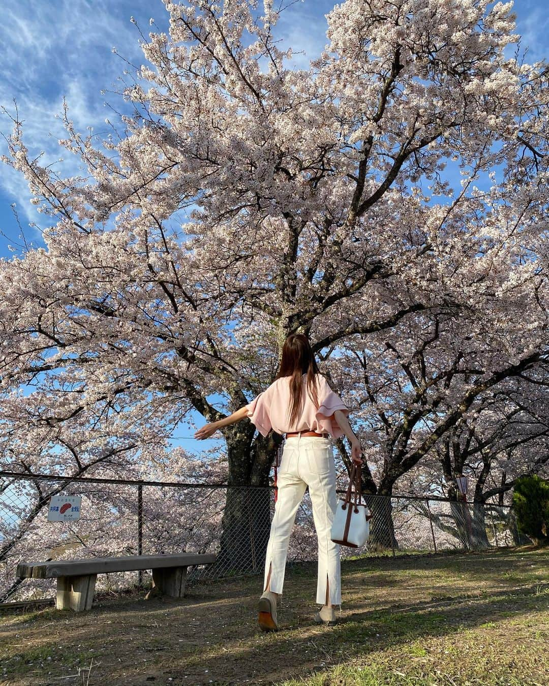 加藤桃子さんのインスタグラム写真 - (加藤桃子Instagram)「Hello April🌸 桜祭り楽しかった🫶  #桜 #桜祭り #お花見 #大法師公園  #大法師公園さくら祭り  #山梨 #山梨観光 #sakura #cherryblossom  #ohanami  #japan #japantravel  #japanesefestival #yamanashi #yamanashitrip」4月2日 11時40分 - mom0.japan