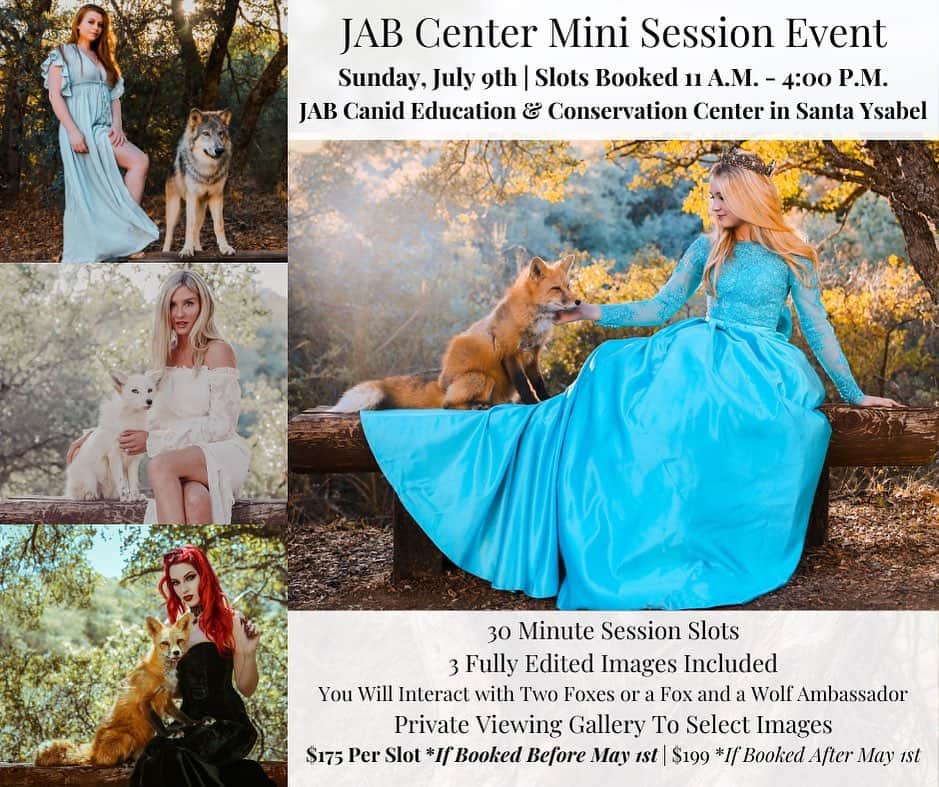 Rylaiのインスタグラム：「Mini Photo Experiences with @anabeldflux are back!!!  July 9th!!! Limited slots! Special $175 for 1/2 spot until May 1st!!  . . These can be booked directly in the website! www.JABCECC.org  . . Don’t forget April 9th: Easter celebration at @myyardlive - come meet the canid bunnies!!! Hahha . . #photoshoot #photoexperience #canid #animalexperience #nature #jabcecc #sigma #cosplay #summerfun #foxes #wolves #sandiego」