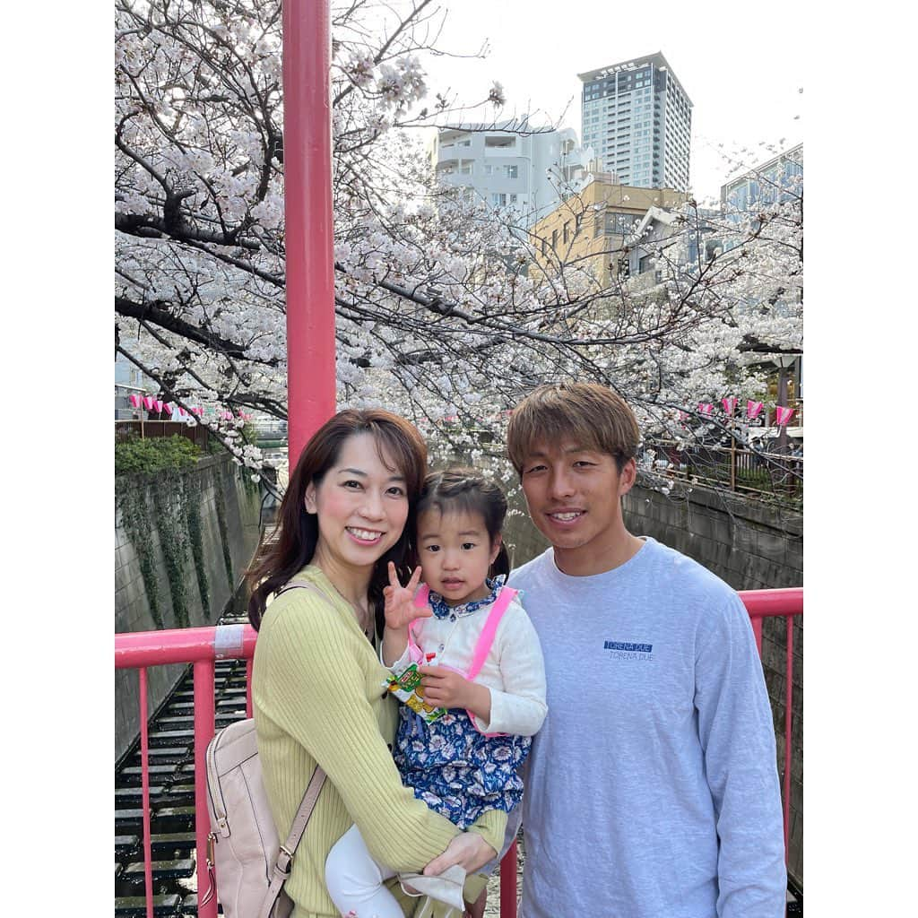 山田真以のインスタグラム：「お花見🌸 今年は久しぶりに中目黒の桜を見に。 思い出深い場所なので懐かしかった〜！  大宮公園は葉桜に向かっていました🌸🍃 娘が体を張ってカメラマンをしてくれました📷9,10枚目↪︎ 行き交う人に笑われましたが… カメラを見たら見事なお写真が撮れていました👏 #お花見#さくら#桜#中目黒#大宮公園#🌸」