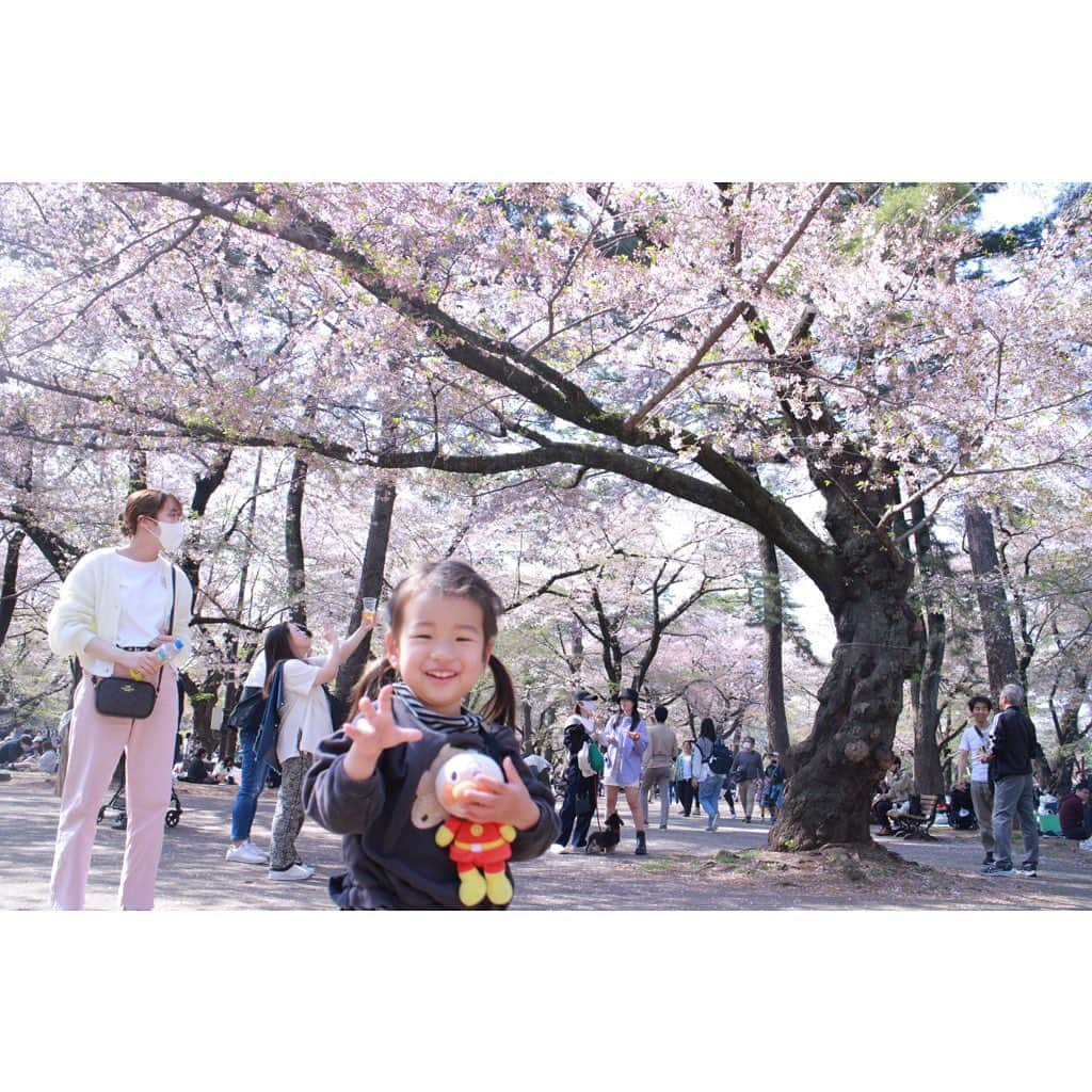 山田真以さんのインスタグラム写真 - (山田真以Instagram)「お花見🌸 今年は久しぶりに中目黒の桜を見に。 思い出深い場所なので懐かしかった〜！  大宮公園は葉桜に向かっていました🌸🍃 娘が体を張ってカメラマンをしてくれました📷9,10枚目↪︎ 行き交う人に笑われましたが… カメラを見たら見事なお写真が撮れていました👏 #お花見#さくら#桜#中目黒#大宮公園#🌸」4月2日 12時04分 - maaai.yamada