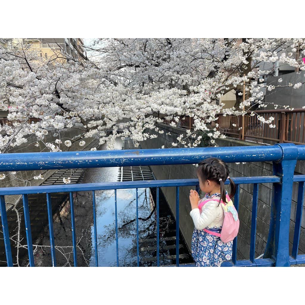 山田真以さんのインスタグラム写真 - (山田真以Instagram)「お花見🌸 今年は久しぶりに中目黒の桜を見に。 思い出深い場所なので懐かしかった〜！  大宮公園は葉桜に向かっていました🌸🍃 娘が体を張ってカメラマンをしてくれました📷9,10枚目↪︎ 行き交う人に笑われましたが… カメラを見たら見事なお写真が撮れていました👏 #お花見#さくら#桜#中目黒#大宮公園#🌸」4月2日 12時04分 - maaai.yamada