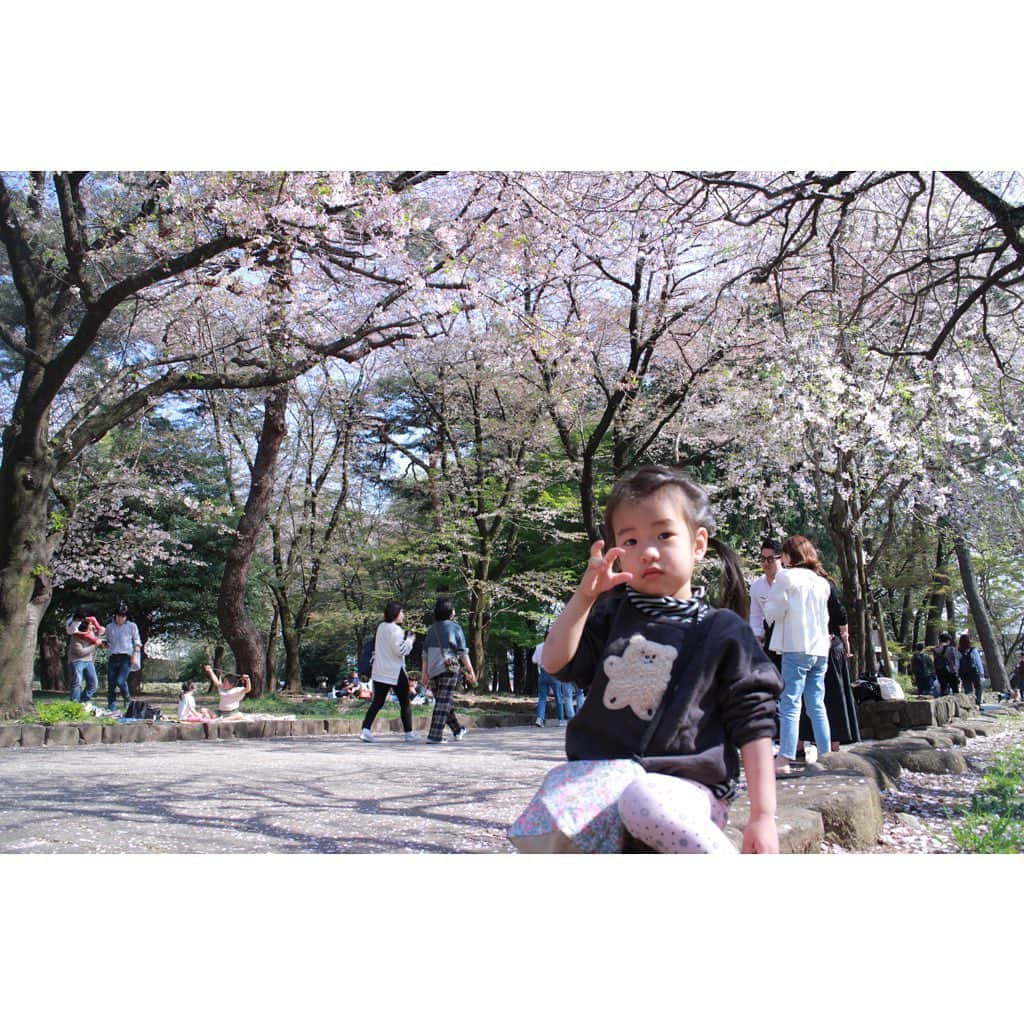 山田真以さんのインスタグラム写真 - (山田真以Instagram)「お花見🌸 今年は久しぶりに中目黒の桜を見に。 思い出深い場所なので懐かしかった〜！  大宮公園は葉桜に向かっていました🌸🍃 娘が体を張ってカメラマンをしてくれました📷9,10枚目↪︎ 行き交う人に笑われましたが… カメラを見たら見事なお写真が撮れていました👏 #お花見#さくら#桜#中目黒#大宮公園#🌸」4月2日 12時04分 - maaai.yamada