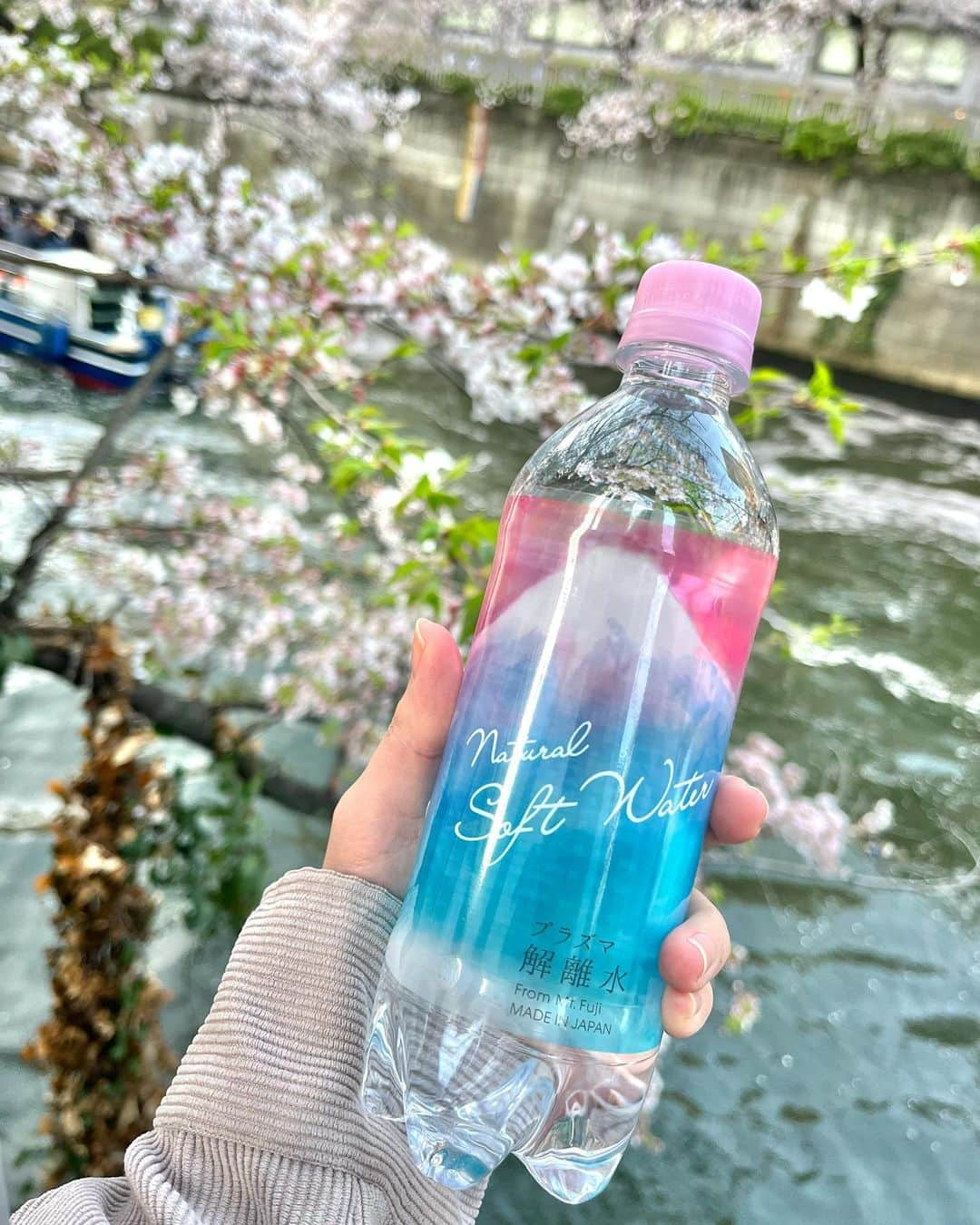 小林真琴のインスタグラム：「. 普段、飲み物はほぼ水を飲んでいる私🙋🏻‍♀️  その中で大好きなのが プラズマ解離水です🌈☺️ @plasma_kairisui_official   美容と健康に効果の期待できる シリカ、バナジウムを含有した水で デトックス効果もあり👏🏻✨  プラズマ解離水は飲んだときに のどにスッと入ってきて 飲みやすくて美味しかったです！  パッケージも可愛くて よく「これお水？かわいい〜」と言われる😏🌸  #プラズマ解離水 #お水 #水分補給 #水 #美容 #健康 #water」