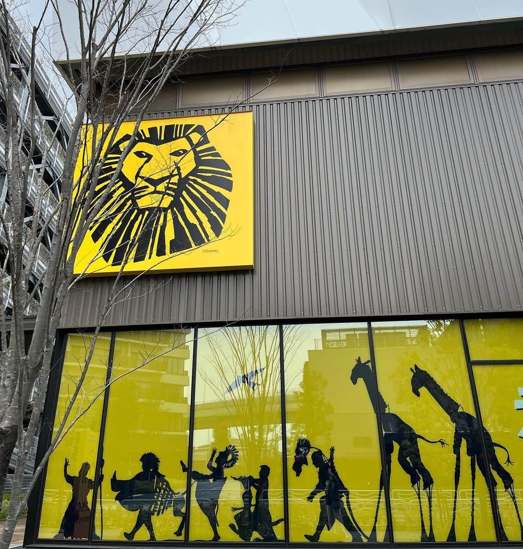 milleprintemps Japanのインスタグラム：「うんじゅうねんぶりのライオンキング！ テンション上がってきました 開場待ちしてます  #ライオンキング  #ライオン🦁 #有明」