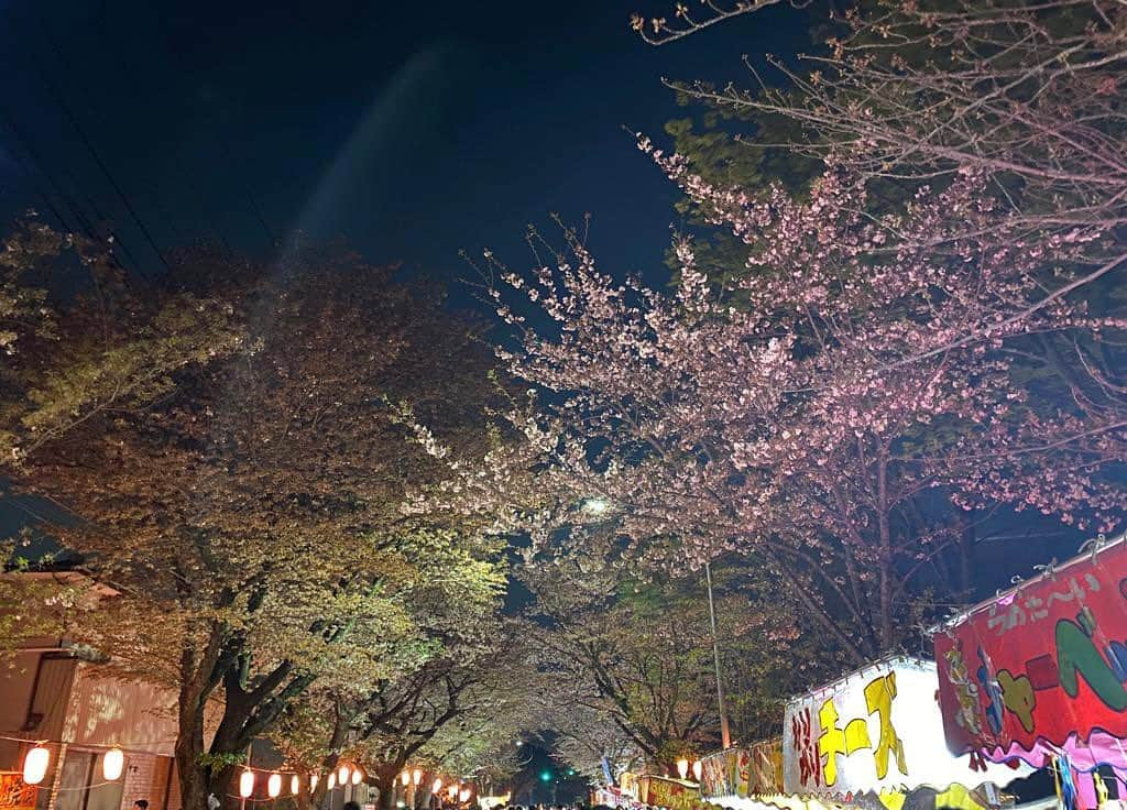 忍成修吾のインスタグラム：「地元の桜祭りに。 いつのまにか規模が大きくなっていました。賑やかな地元をみると嬉しい気持ちになりますね。」