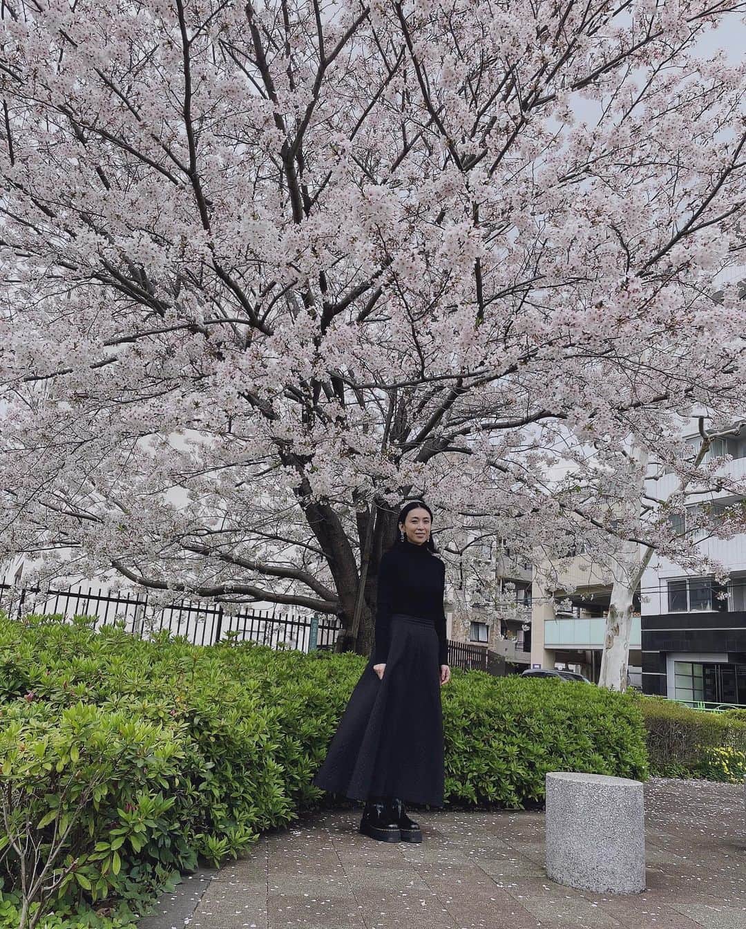 雛形あきこさんのインスタグラム写真 - (雛形あきこInstagram)「桜が満開ですね もう今週が最後かな 今日は真っ黒だったから ちょっと大きめのアクセサリーに シェルみたいなネイルにしてみました #大きなアクセサリー好き #ネイルはシンプル一度塗り」4月2日 12時23分 - akiko_hinagata