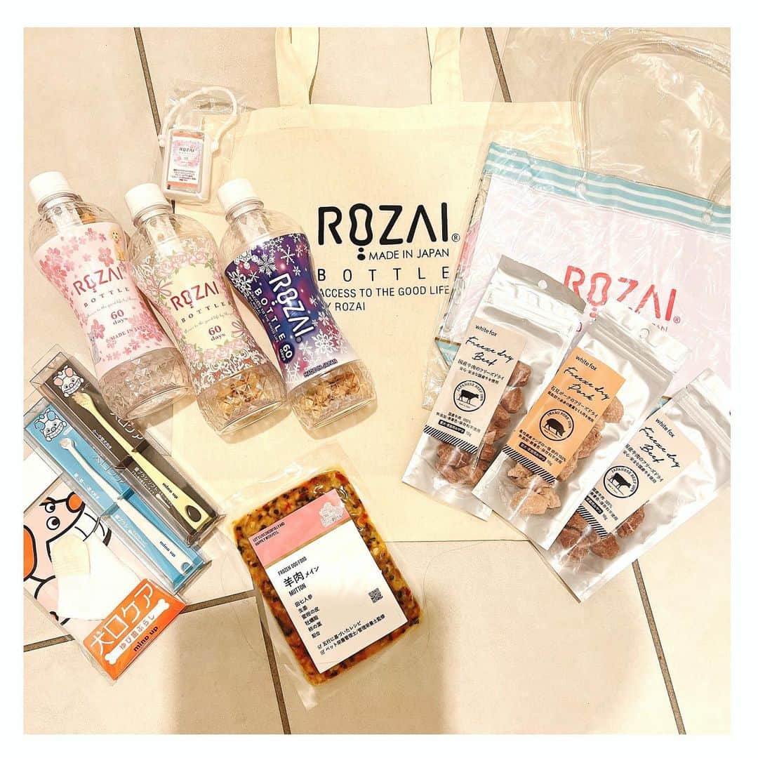 中野公美子さんのインスタグラム写真 - (中野公美子Instagram)「金曜日はルーナと一緒に インターペットへ🐶💕  ROZAIさんのブースに 宮前真樹ちゃんが居て  久し振りに会えて嬉しい🥰 @miyamaemaki  相変わらずまきちゃん可愛い💕 ブースではトークイベントもあって 盛り上がっていました✨ そしてまきちゃんが空き時間に 会場を案内してくれました❣️ 優しい〜🥺  いつもインスタで見てるラズくんにも会えた💕 らっちゃんお昼寝中だったけど可愛いー😍 @lovableraz   大好きなまめきちまめこさんのパネルで撮ったりして📸 @mamekichi_mameko  @mameko_nichijo   6枚目は戦利品と頂き物！ ROZAIさんのロザイボトルは 珪藻土のボールが入ったボトルにお水を入れると、ペットに適した天然ミネラルが溶けて美味しいお水にしてくれるとのこと！ @rozai_bottle  いつも浄水器のお水をあげていたので、これは嬉しい😊 歯ブラシやおやつなどもかなりお買い得でした！  今年もルーナと一緒に行けて良かった🥰🐶  #インターペット #インターペット2023 #クタクタで帰宅 #宮前真樹　ちゃん #rozai #ラズくん #まめきちまめこ #チワワ #chihuahua #チワワ13歳」4月2日 12時40分 - kumikorion