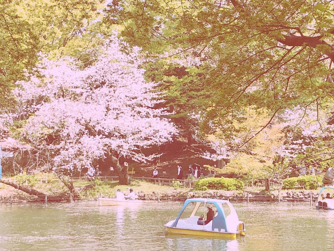 寺田浩子さんのインスタグラム写真 - (寺田浩子Instagram)「お花見楽しかったな🌸  #桜 #お花見  #突発的集合」4月2日 12時35分 - hiroko.2019