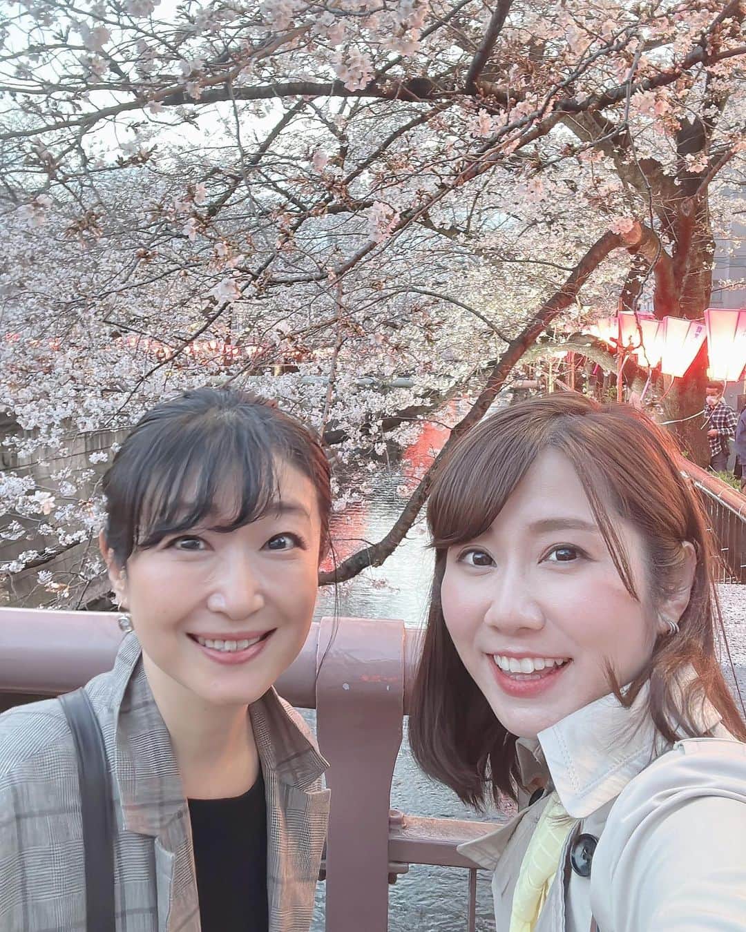 壽老麻衣さんのインスタグラム写真 - (壽老麻衣Instagram)「先日、ナレーターの小坂由里子さんとカフェ巡り＆お花見へ☕️🌸 @yuriko.kosaka  小坂さんのナレーションが大好きで、よくテレビでも聴いていたのですが、お会いできる日が来るなんて😊 ご縁に感謝です🙏✨ 声はもちろん、お人柄も本当に素敵な方で、お会いできて嬉しかったです😆  この日はカフェファソンへ！ @cafefacon_basetokyo  中目黒本店は行ったことがあるのですが、支店は初めて！ ここのカフェは、どれにしようか迷うくらいコーヒーの種類が豊富なのです☕️ 今回のコーヒーと桜シフォンケーキも美味しかったなあ…！☕️🌸  小坂さん、楽しい時間をありがとうございました🎵 またご一緒できるのが楽しみです🥺」4月2日 12時36分 - maijuro