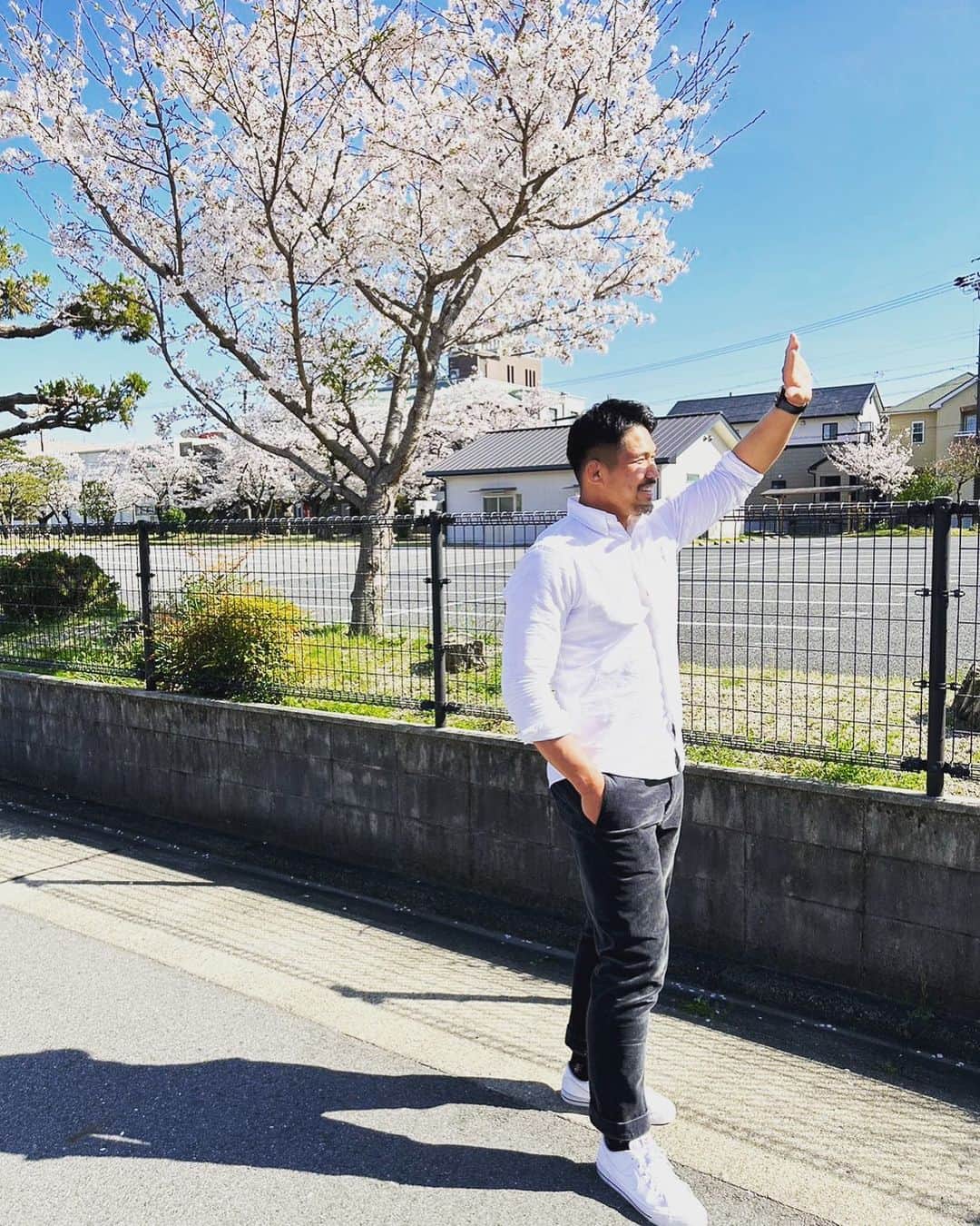 姫野和樹のインスタグラム：「ずっと桜咲いててくれないかなーって思うけど、散るからこそまたいいとも思うし、とにかく春が好きです🌸  皆さん桜楽しめました？！」