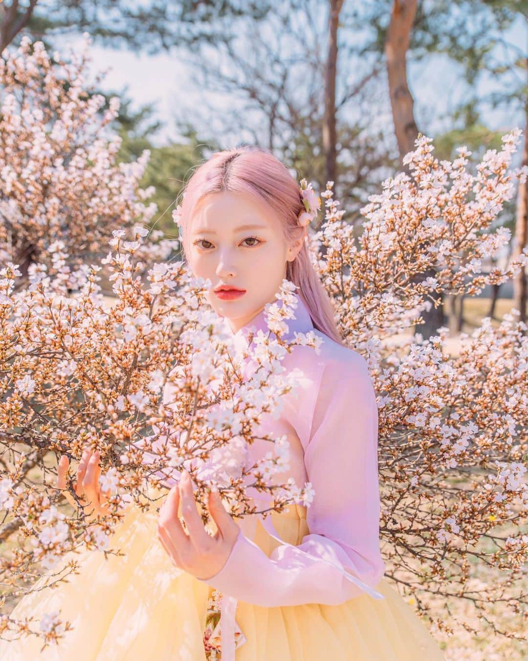 キム・チョンアさんのインスタグラム写真 - (キム・チョンアInstagram)「한복입고 꽃 구경하러 같이 가자 🌸 ૮ᐡ•͈ ·̫ •͈ᐡა  #한복#모아한복#봄나들이#벚꽃놀이」4月2日 12時56分 - 94_j.a