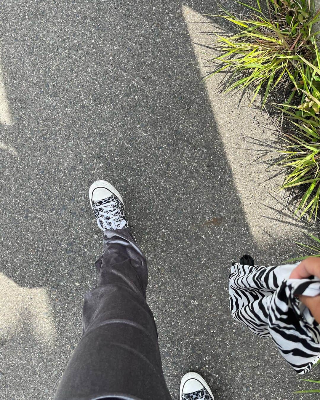 浅井悠由さんのインスタグラム写真 - (浅井悠由Instagram)「" 🦓❤️🫶🏼 #zebra #warm #stroll」4月2日 13時22分 - youasai4