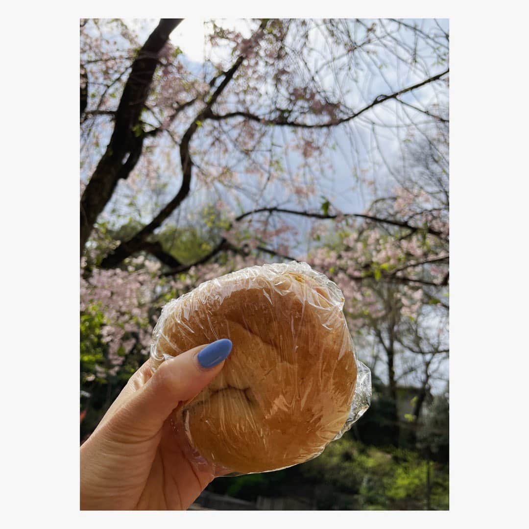 小川麻琴さんのインスタグラム写真 - (小川麻琴Instagram)「@futsunoshop さんのふつうの塩で作った手作りのタマゴサラダでベーグルサンドを作って公園へ🥯  桜を見ながら大好きなベーグルをのんび〜りパクパク🌸  普通の塩の旨味が効いてるタマゴサラダめちゃくちゃ美味しく出来た😳❤️  はぁ、、幸せだ🥰  #ベーグル #タマゴサラダ  #お花見ランチ  #まことパン #まことベーグル #パンスタグラム」4月2日 13時32分 - 1029_makoto