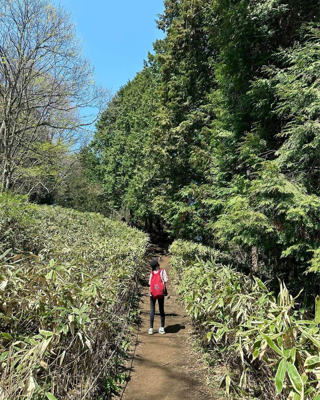 amiさんのインスタグラム写真 - (amiInstagram)「登山です、どうも⛰ #高尾山 #陣馬山」4月2日 13時25分 - amidesudoumo