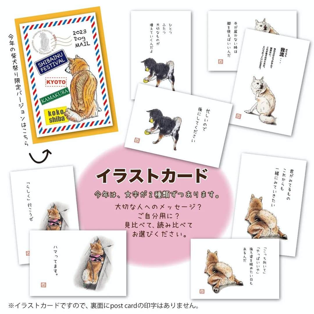 ハナとソラのインスタグラム：「2023年東西古都柴犬祭り ここ柴グッズラインナップ  その2️⃣ イラストカード シリーズのイラストから4種類を選んでイラストカードにしました。 今回はメッセージを2種類ずつ印字していますので、 ぜひ読み比べてみてください😄  柴犬祭り限定版も合わせて全9種類です✨️ ※こちらはイラストカードですので、裏面は無地です。post cardの印字もございませんのでご了承くださいませ🙇  #東西古都柴犬祭り @kyotodogcafe  @manpucu_garden   #ここ柴グッズ #ここ柴 #柴犬 #柴犬グッズ #ここ柴部」