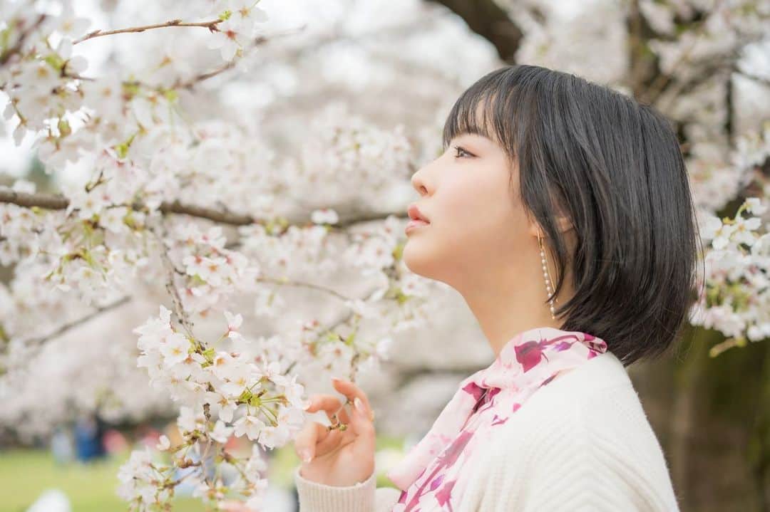のインスタグラム：「椿×桜  #お花見 #桜 #ポートレート #東京  #お花見コーデ #お花見スポット #お花見デート #お花見🌸  #桜 #さくら #cherryblossom #cherryblossoms #cherry」