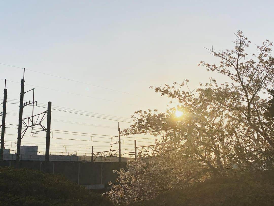 檜山沙耶さんのインスタグラム写真 - (檜山沙耶Instagram)「🌸」4月2日 14時20分 - sayahiyama