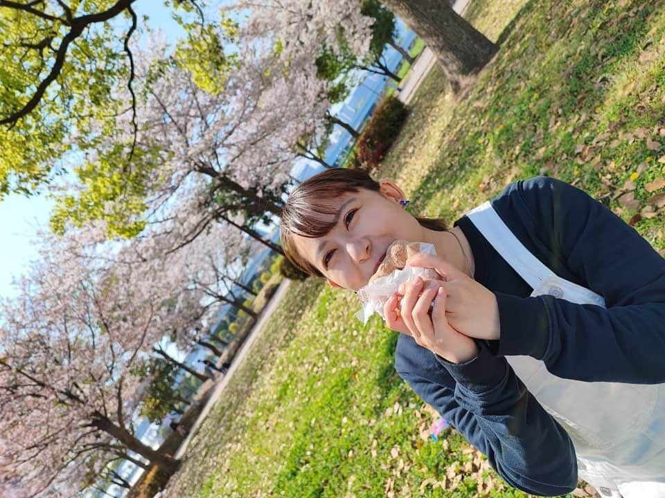 上野瑚子さんのインスタグラム写真 - (上野瑚子Instagram)「ポンデリング🌸🌸🌸 . . . #ドーナツ #ミスタードーナツ #ミスド #ポンデリング #桜 #お花見 #花見 #sakura #cherryblossom #春 #spring #doughnuts #ピクニック #picnic」4月2日 19時54分 - koko08_xx