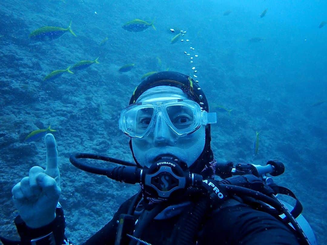 熊谷正寿のインスタグラム：「出張の帰りに寄り道。マーレから水上飛行機で目的地へ。  ユネスコ生物保護区のバー環礁＠モルディブで潜ってきた。  全世界ダイバー憧れの”マンタ”に遭遇！！と喜んだらエイだった。イエーイｗ　残念😳  Applewatchのダイビングアプリをテスト。  #バー環礁 #モルディブ #水上飛行機  #BarAtoll #Maldives #Seaplane  #ダイビング#ダイバー #レスキューダイバー #rescuediver #diving #diver #diving #scubadiving #diver #dive #underwater #ocean #coral #marine #adventure #explore #divelife #underwaterphotography #sealife #PADI #DiveDestinations  #applewatch #アップルウォッチ」