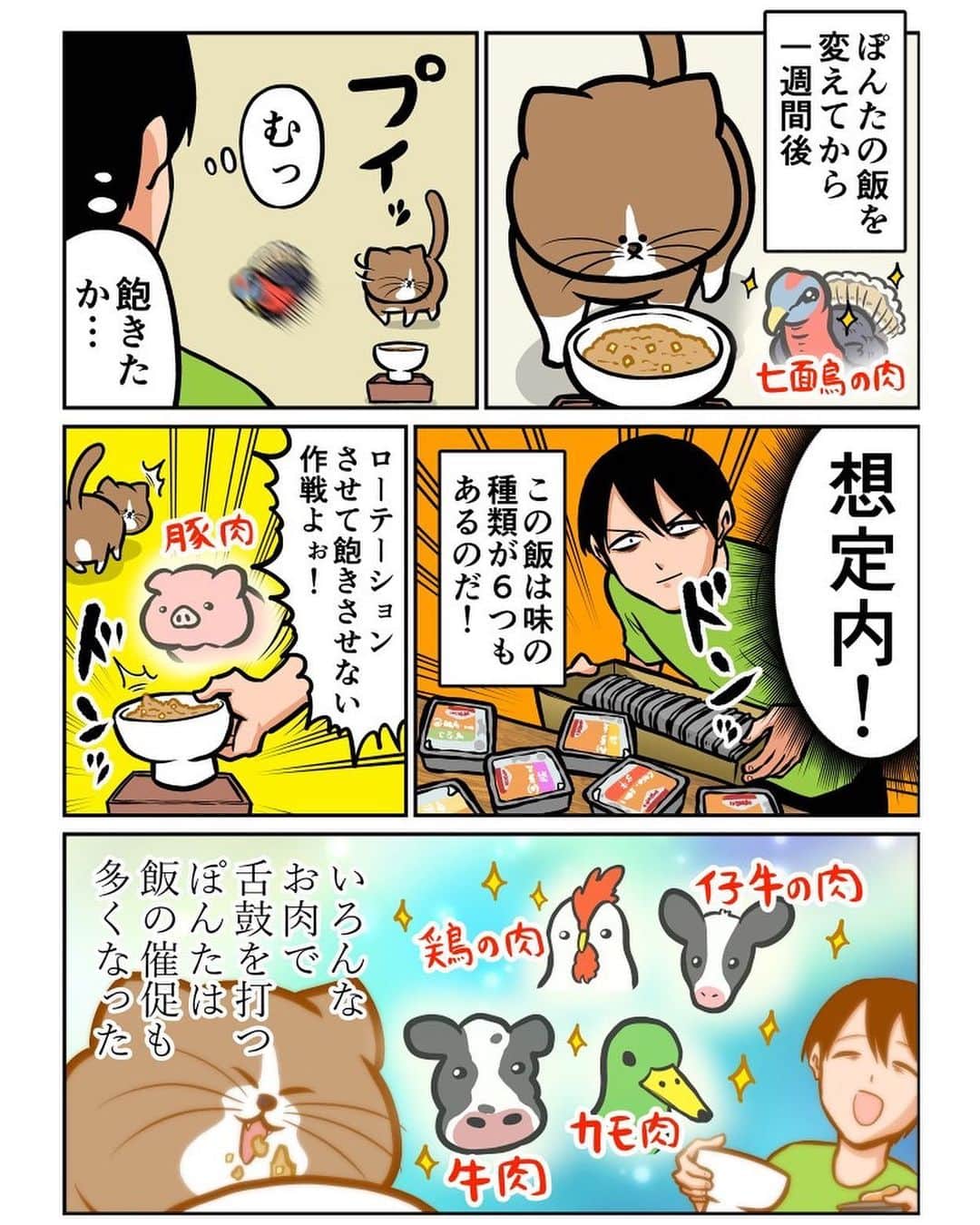 鴻池剛さんのインスタグラム写真 - (鴻池剛Instagram)「猫の飯で沼る日記 #猫漫画」4月2日 15時17分 - tsuyoshiwood