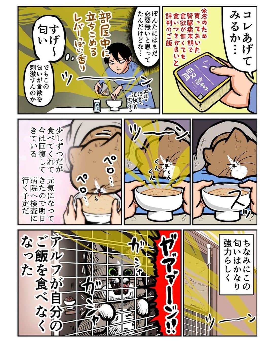 鴻池剛さんのインスタグラム写真 - (鴻池剛Instagram)「猫の飯で沼る日記 #猫漫画」4月2日 15時17分 - tsuyoshiwood