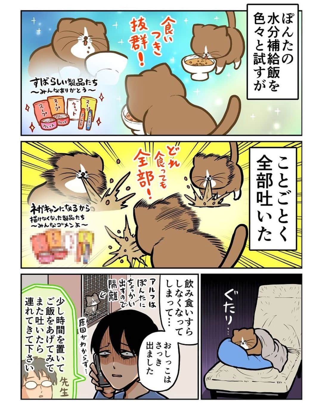 鴻池剛のインスタグラム：「猫の飯で沼る日記 #猫漫画」