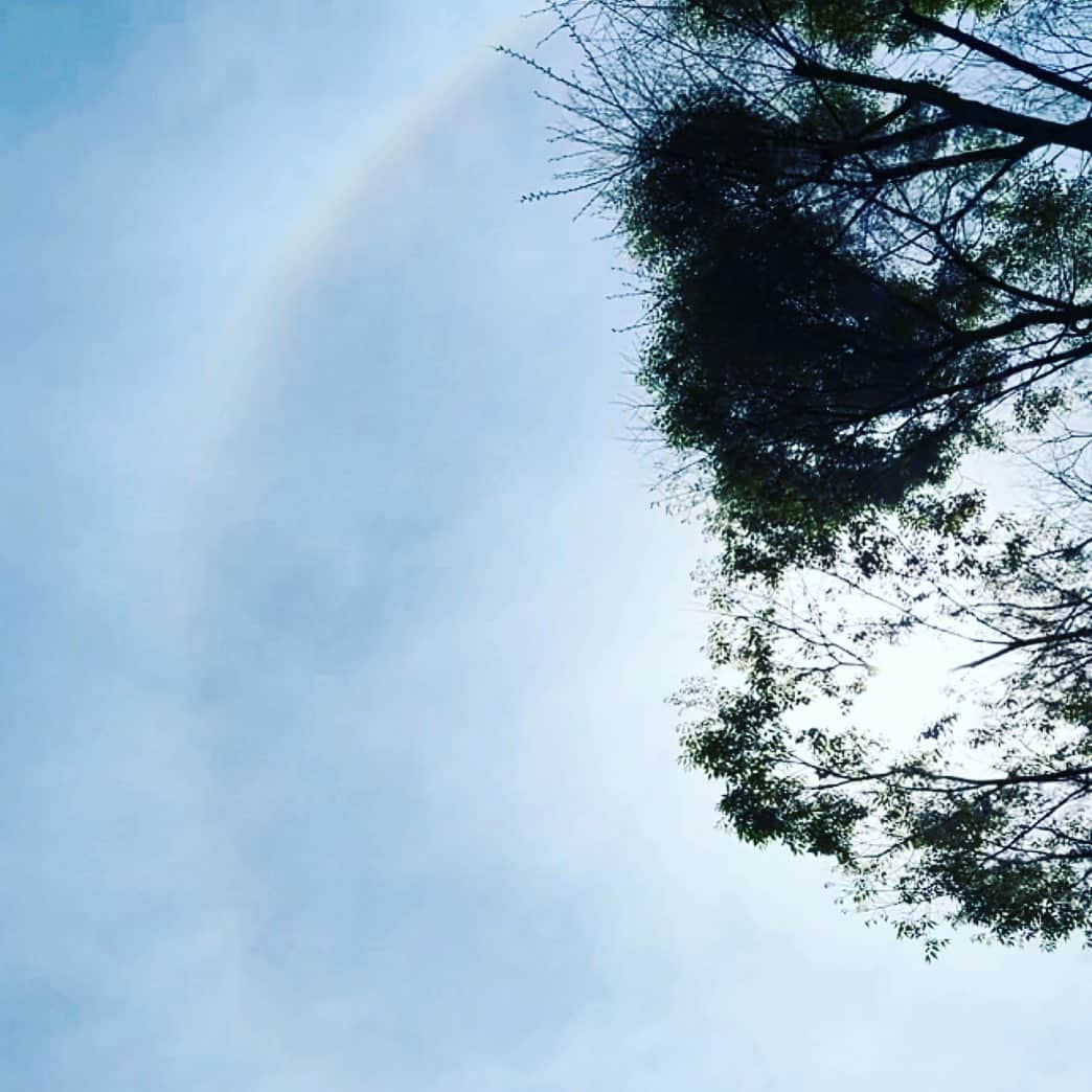 渋谷凪咲さんのインスタグラム写真 - (渋谷凪咲Instagram)「皆さ〜ん☺️虹が出てましたよ〜🌈笑  #お知らせ #虹 #ひょっこり虹 #今年初めて見れました✨ #嬉しい〜🌸」4月2日 15時10分 - nagisa_nikoniko