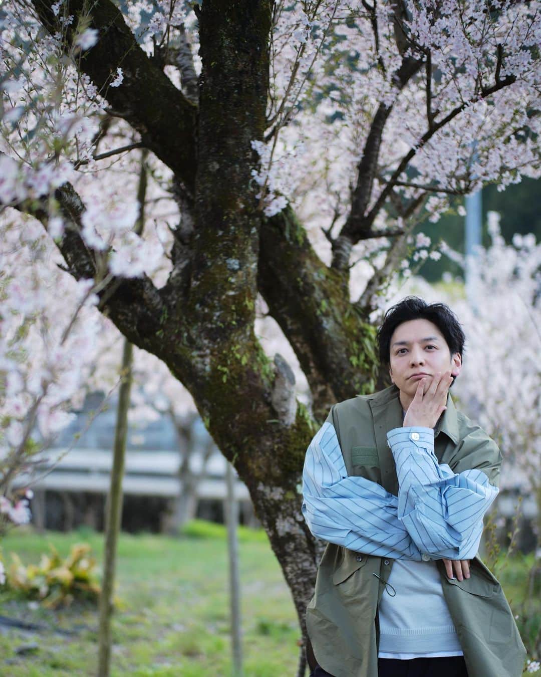 生田斗真さんのインスタグラム写真 - (生田斗真Instagram)「🌸」4月2日 15時25分 - toma.ikuta_official
