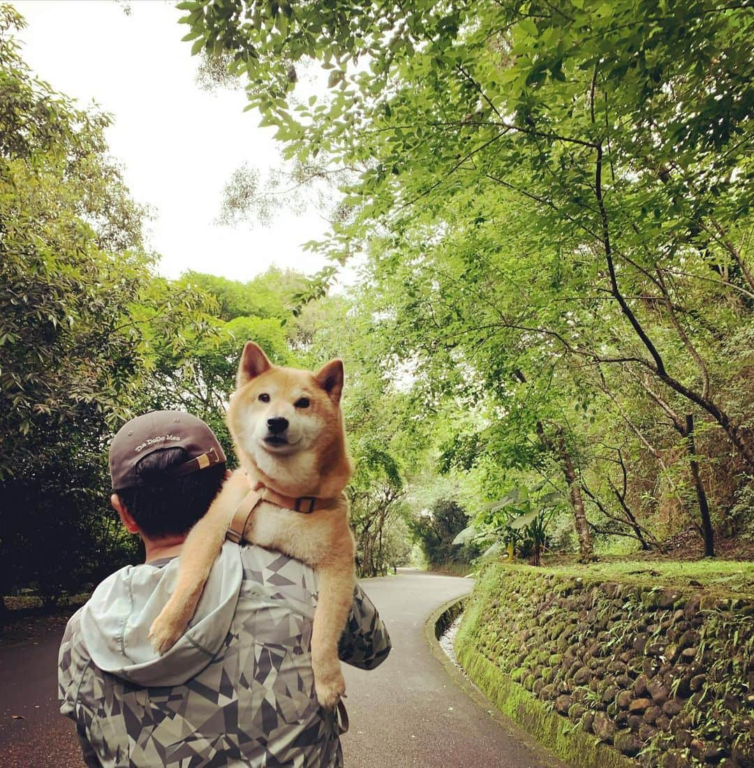 Coffeeのインスタグラム