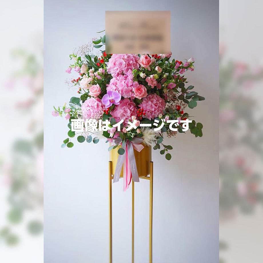 egg公式のインスタグラム