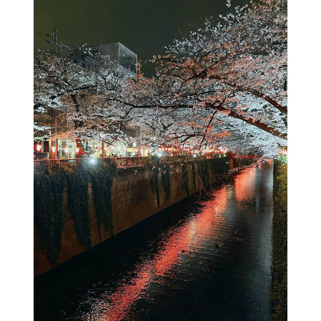 ダンソン・タンさんのインスタグラム写真 - (ダンソン・タンInstagram)「夜📸🌸 - #DT #tokyo  #nakameguro  #中目黑  #唐禹哲」4月2日 15時47分 - dt_0902