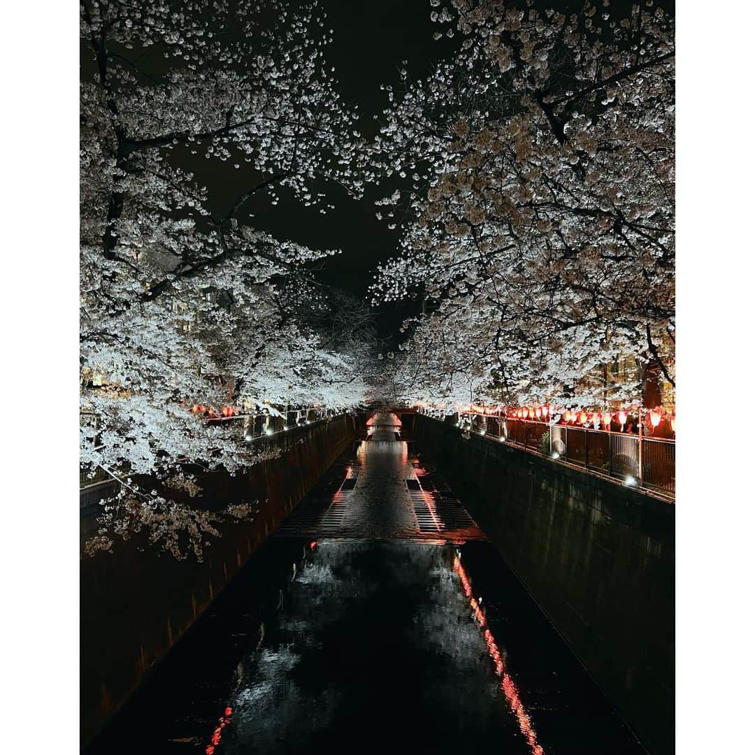 ダンソン・タンさんのインスタグラム写真 - (ダンソン・タンInstagram)「夜📸🌸 - #DT #tokyo  #nakameguro  #中目黑  #唐禹哲」4月2日 15時47分 - dt_0902